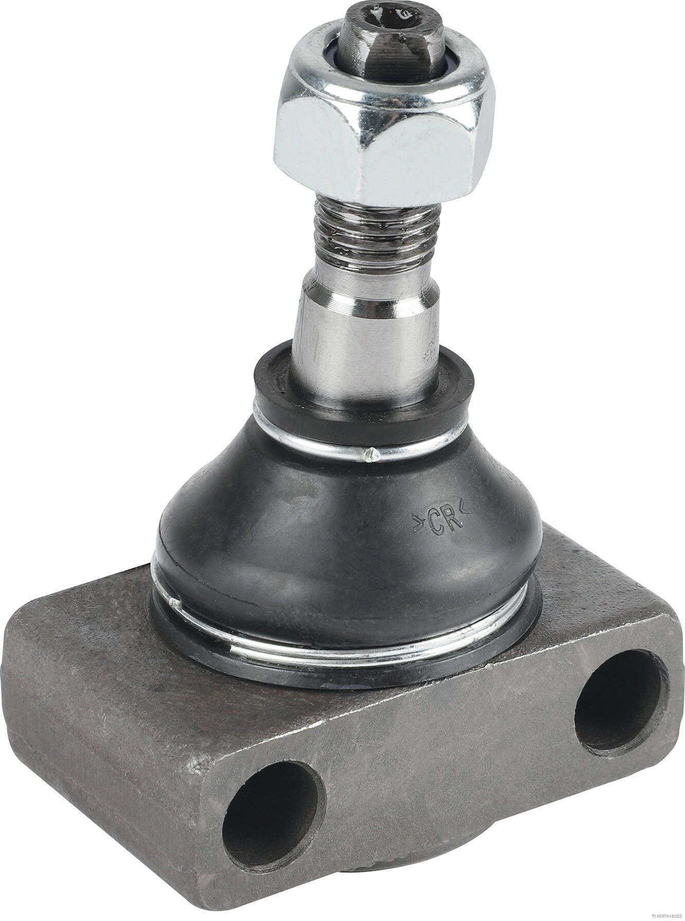 Šarnyras / girgždukas HERTH+BUSS JAKOPARTS J4860845