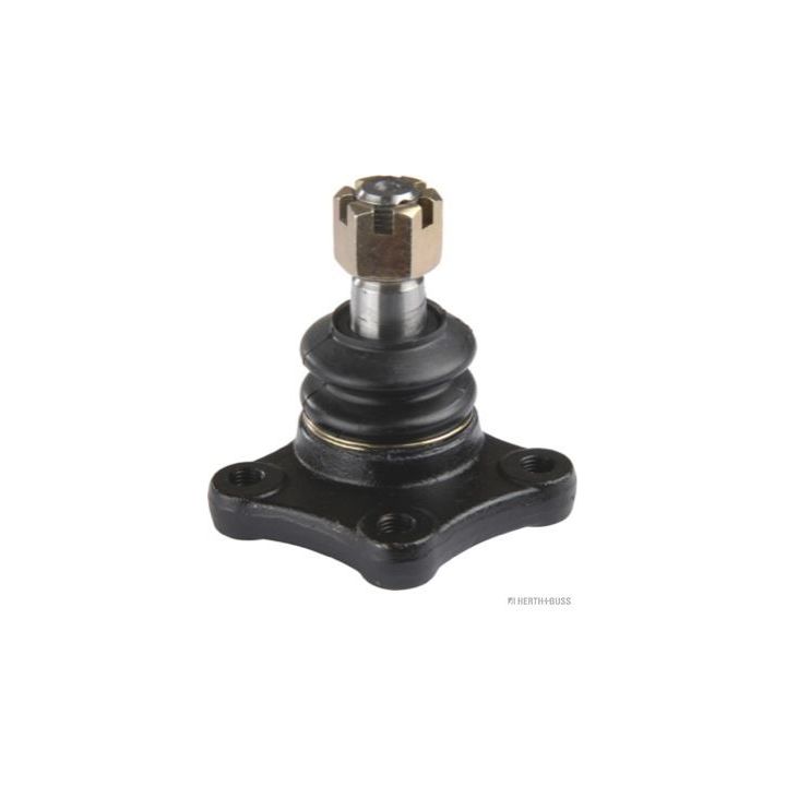 Šarnyras / girgždukas HERTH+BUSS JAKOPARTS J4863004