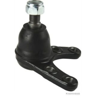 Šarnyras / girgždukas HERTH+BUSS JAKOPARTS J4863014