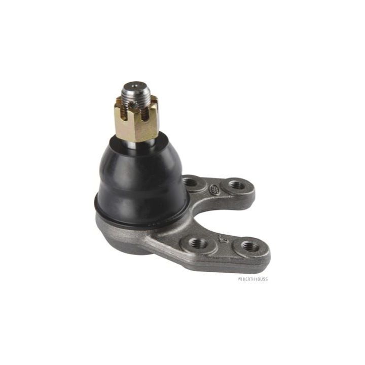 Šarnyras / girgždukas HERTH+BUSS JAKOPARTS J4863018