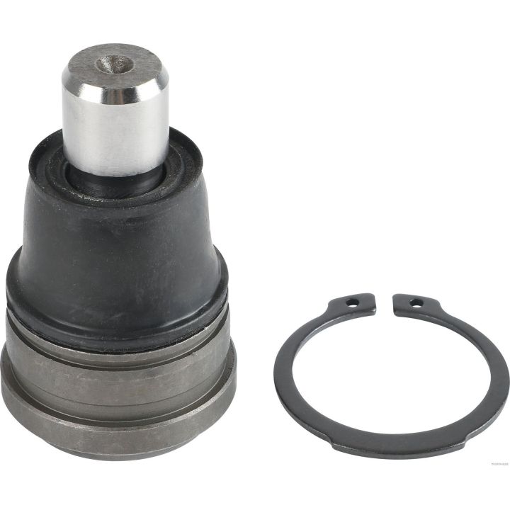 Šarnyras / girgždukas HERTH+BUSS JAKOPARTS J4863022