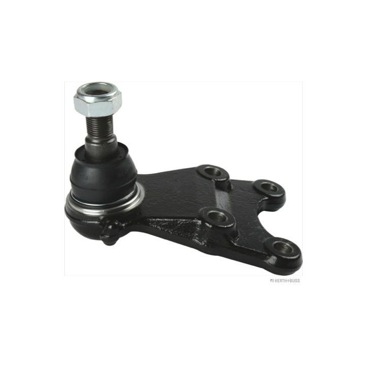 Šarnyras / girgždukas HERTH+BUSS JAKOPARTS J4869007