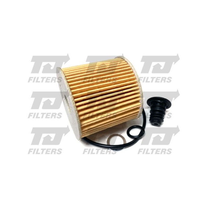 Alyvos filtras QUINTON HAZELL QFL0409