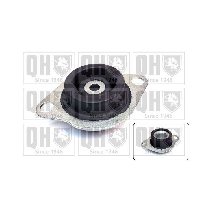 Variklio montavimas QUINTON HAZELL EM4872