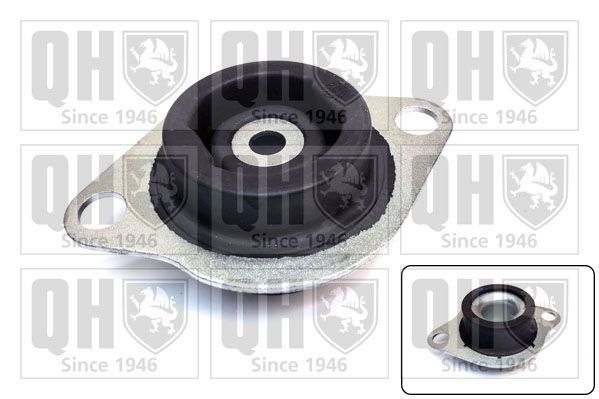 Variklio montavimas QUINTON HAZELL EM4872