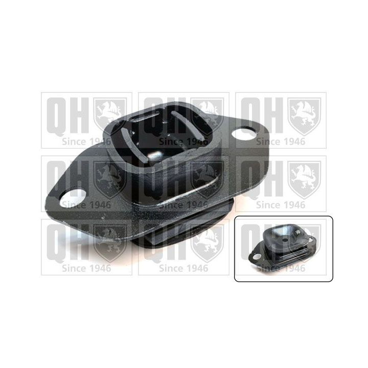 Variklio montavimas QUINTON HAZELL EM4911