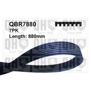 V formos rumbuoti diržai QUINTON HAZELL QBR7880