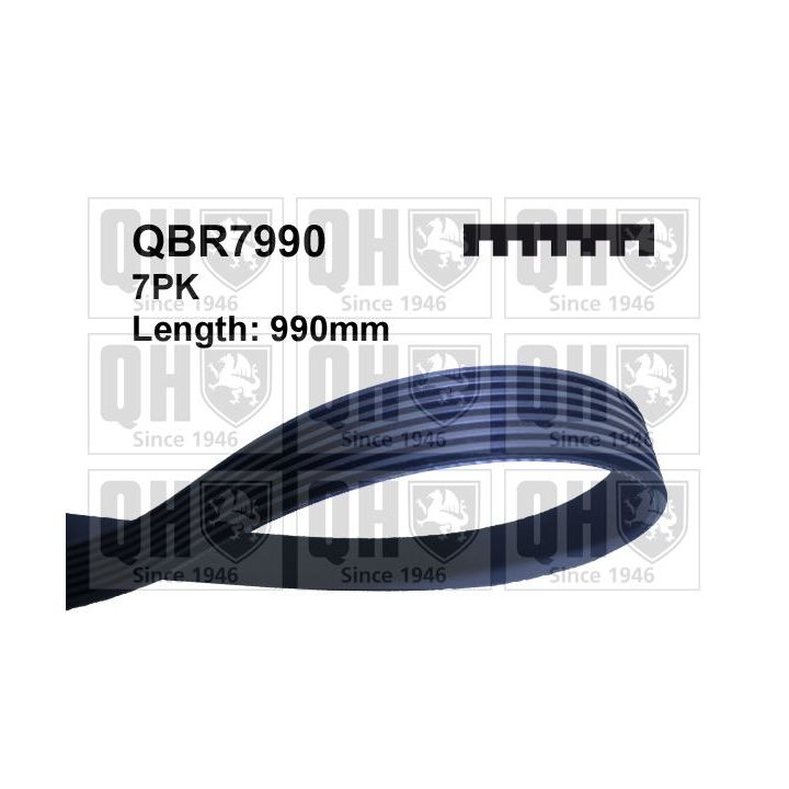 V formos rumbuoti diržai QUINTON HAZELL QBR7990