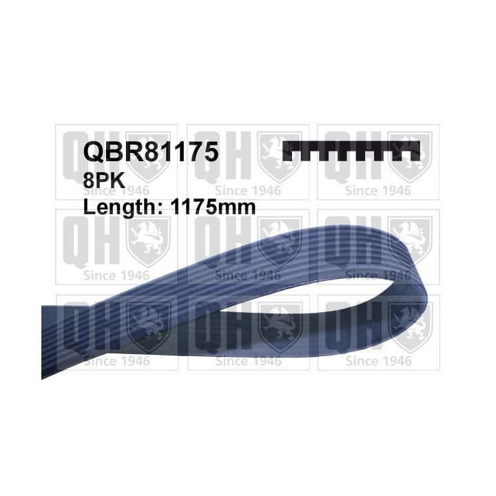 V formos rumbuoti diržai QUINTON HAZELL QBR81175