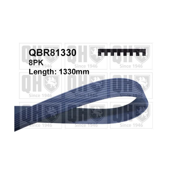 V formos rumbuoti diržai QUINTON HAZELL QBR81330