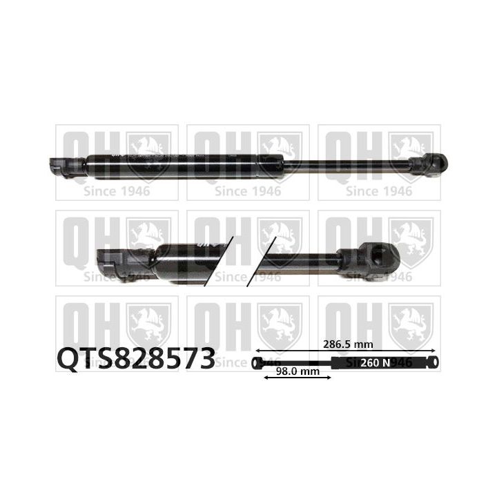 Dujinė spyruoklė, gaubtas QUINTON HAZELL QTS828573