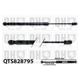 Dujinė spyruoklė, gaubtas QUINTON HAZELL QTS828795