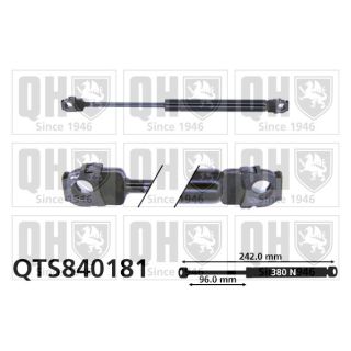 Dujinė spyruoklė, gaubtas QUINTON HAZELL QTS840181