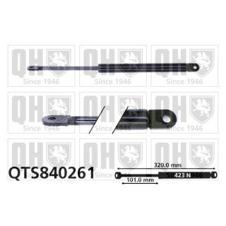 Dujinė spyruoklė, gaubtas QUINTON HAZELL QTS840261