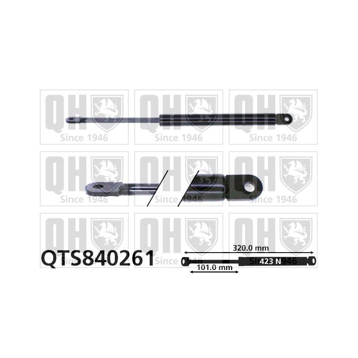 Dujinė spyruoklė, gaubtas QUINTON HAZELL QTS840261