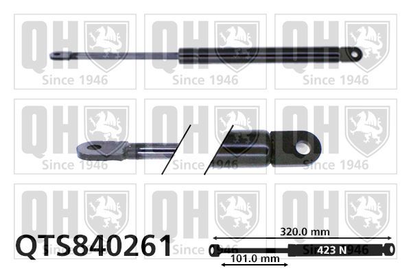 Dujinė spyruoklė, gaubtas QUINTON HAZELL QTS840261