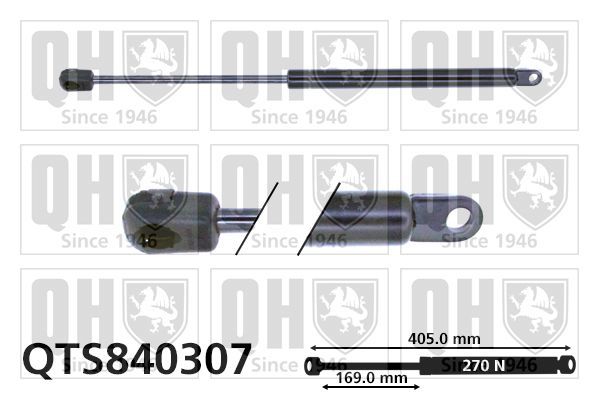 Dujinė spyruoklė, gaubtas QUINTON HAZELL QTS840307