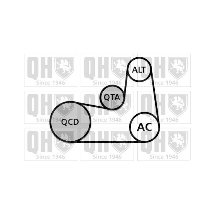 V formos rumbuotas diržas, komplektas QUINTON HAZELL QDK199