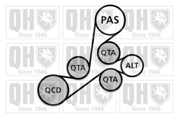 V formos rumbuotas diržas, komplektas QUINTON HAZELL QDK54