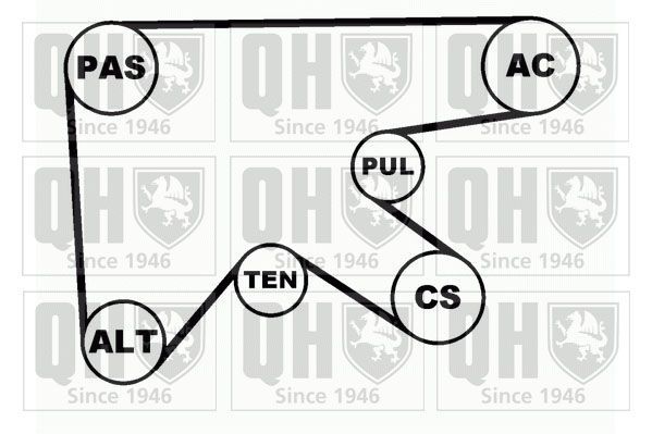 V formos rumbuotas diržas, komplektas QUINTON HAZELL QDK62
