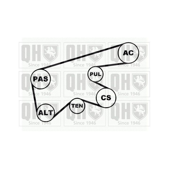 V formos rumbuotas diržas, komplektas QUINTON HAZELL QDK62