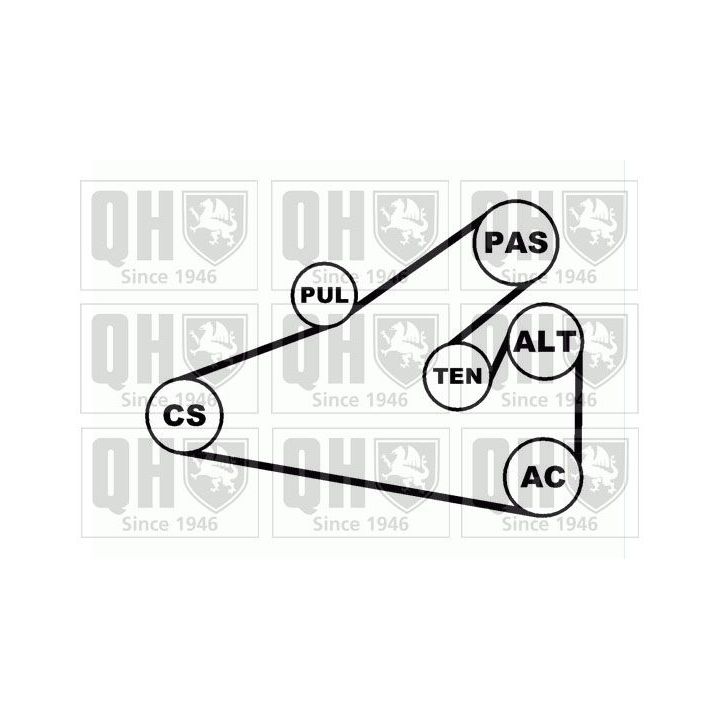 V formos rumbuotas diržas, komplektas QUINTON HAZELL QDK65