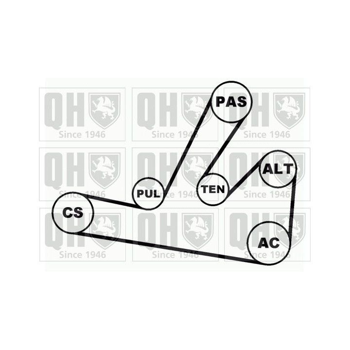 V formos rumbuotas diržas, komplektas QUINTON HAZELL QDK65