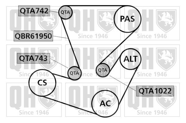 V formos rumbuotas diržas, komplektas QUINTON HAZELL QDK66
