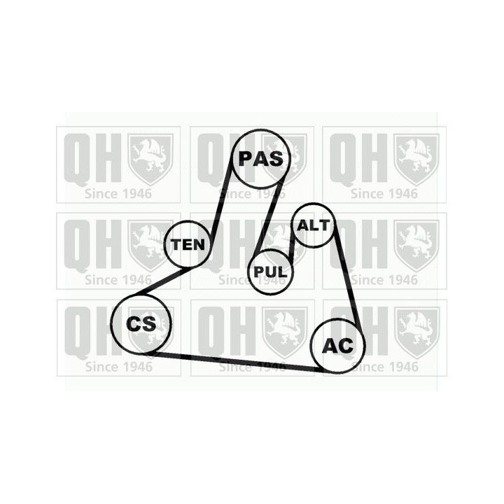 V formos rumbuotas diržas, komplektas QUINTON HAZELL QDK67