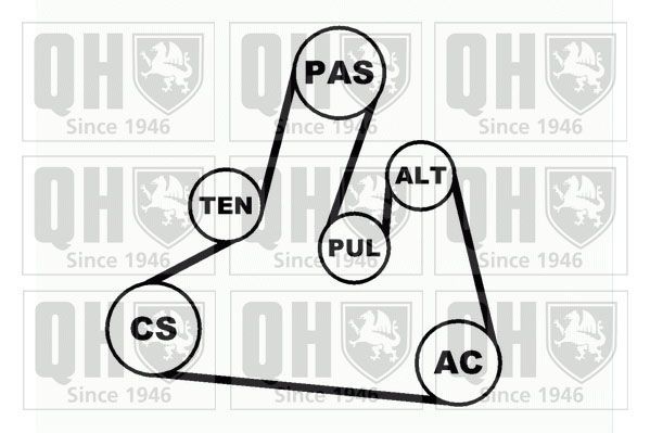 V formos rumbuotas diržas, komplektas QUINTON HAZELL QDK67