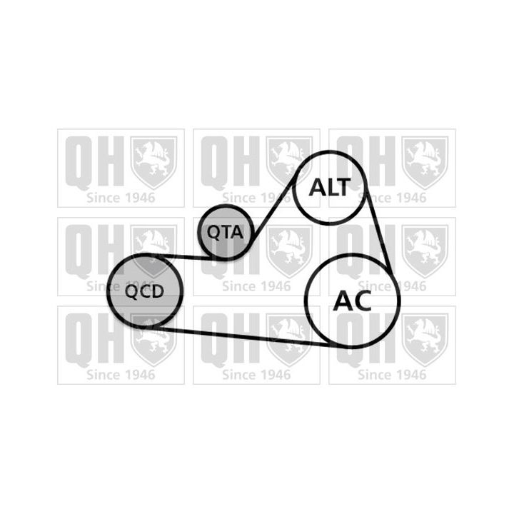 V formos rumbuotas diržas, komplektas QUINTON HAZELL QDK68