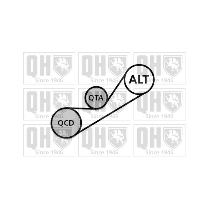 V formos rumbuotas diržas, komplektas QUINTON HAZELL QDK86