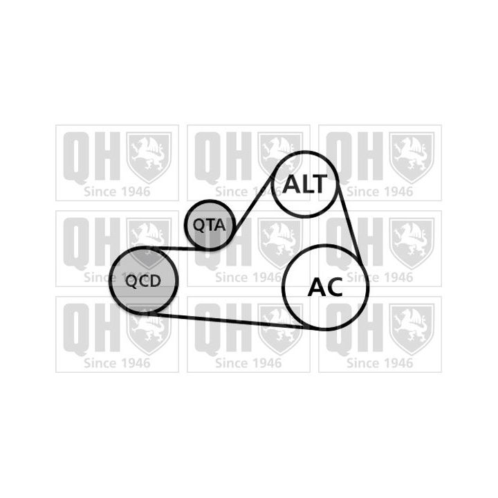 V formos rumbuotas diržas, komplektas QUINTON HAZELL QDK87