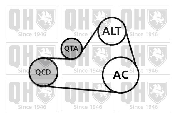V formos rumbuotas diržas, komplektas QUINTON HAZELL QDK87