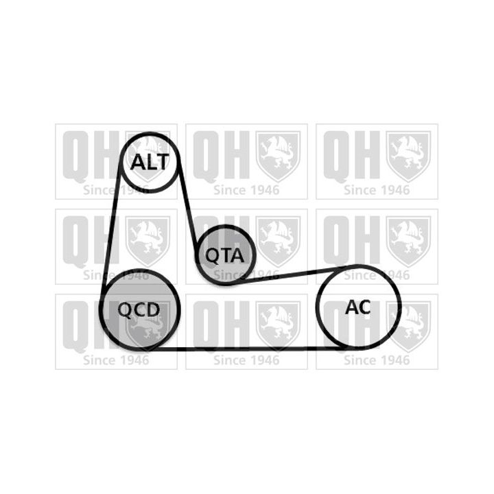 V formos rumbuotas diržas, komplektas QUINTON HAZELL QDK89