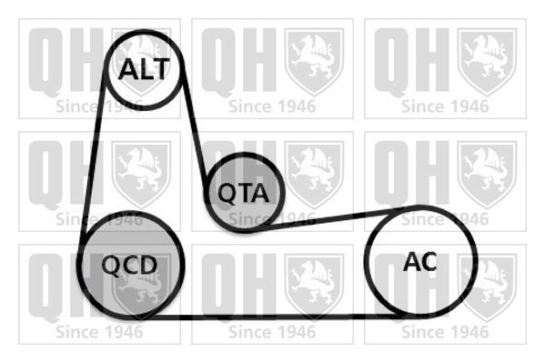 V formos rumbuotas diržas, komplektas QUINTON HAZELL QDK89