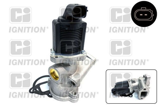 ERG vožtuvas QUINTON HAZELL XEGR81