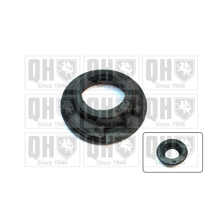 Pakabos statramsčio atraminis guolis QUINTON HAZELL EMR6108