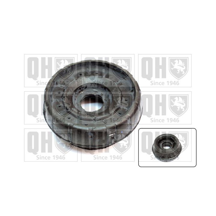 Pakabos statramsčio atraminis guolis QUINTON HAZELL EMR6117