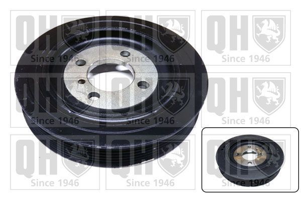 Skriemulys, alkūninis velenas QUINTON HAZELL QCD199