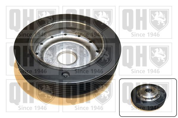Skriemulys, alkūninis velenas QUINTON HAZELL QCD21