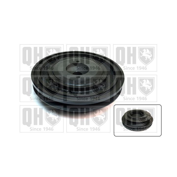 Skriemulys, alkūninis velenas QUINTON HAZELL QCD24