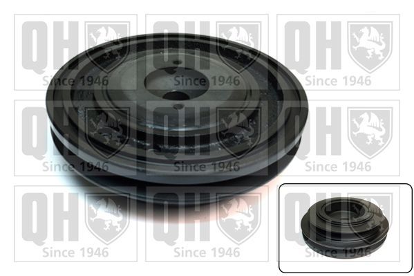 Skriemulys, alkūninis velenas QUINTON HAZELL QCD24