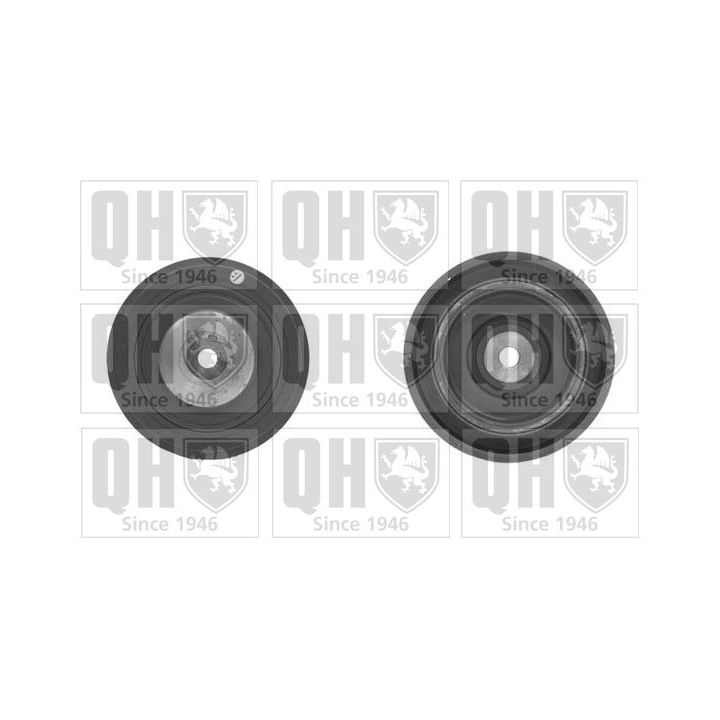 Skriemulys, alkūninis velenas QUINTON HAZELL QCD35