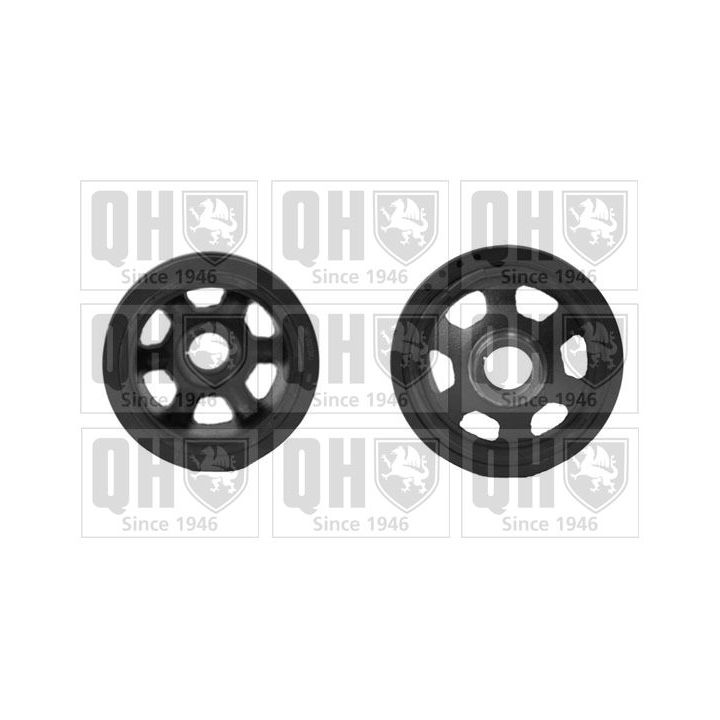 Skriemulys, alkūninis velenas QUINTON HAZELL QCD45