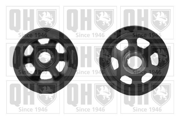 Skriemulys, alkūninis velenas QUINTON HAZELL QCD45