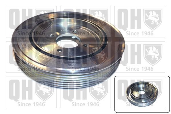 Skriemulys, alkūninis velenas QUINTON HAZELL QCD6