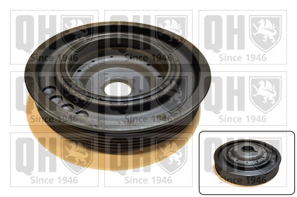 Skriemulys, alkūninis velenas QUINTON HAZELL QCD87