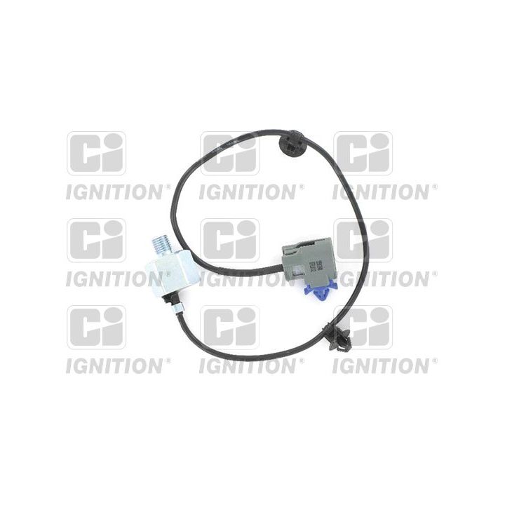 Detonacijos jutiklis QUINTON HAZELL XKS83