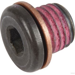 Varžtas, automatinės pavarų dėžės alyvos karteris HERTH+BUSS ELPARTS 50240022